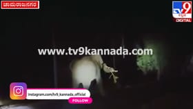 ಕಟಾವಿಗೆ ಬಂದಿದ್ದ ಬೆಳೆ ತಿಂದು ತೇಗಿದ ಒಂಟಿ ಸಲಗ: ಆನೆ ಓಡಿಸಲು ಹರಸಾಹಸ