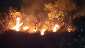 ಚಾರ್ಮಾಡಿ ಅರಣ್ಯಕ್ಕೆ ಬೆಂಕಿ: ಹೊತ್ತಿ ಉರಿದ ವನ್ಯಸಂಪತ್ತು