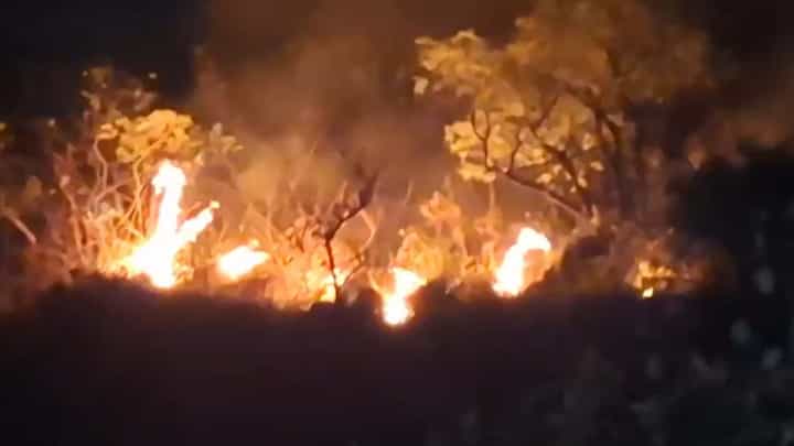 ಚಾರ್ಮಾಡಿ ಅರಣ್ಯದಲ್ಲಿ ಬೆಂಕಿ: ಹೊತ್ತಿ ಉರಿದ ವನ್ಯಸಂಪತ್ತು ಚಾರ್ಮಾಡಿ ಅರಣ್ಯದಲ್ಲಿ ಬೆಂಕಿ: ಹೊತ್ತಿ ಉರಿದ ವನ್ಯಸಂಪತ್ತು