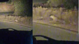 ಶಿವರಾತ್ರಿಗೆ ಮಾದಪ್ಪನ ಸನ್ನಿಧಿಗೆ ತೆರಳುವ ಭಕ್ತರೇ ಎಚ್ಚರ: ಮಲೆಮಹದೇಶ್ವರ ಬೆಟ್ಟದ ಮಾರ್ಗದಲ್ಲಿ ಮತ್ತೆ ಚಿರತೆ ಪ್ರತ್ಯಕ್ಷ