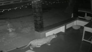 Ashwini Vaishnaw Press Meet Live: ಕೇಂದ್ರ ಸಚಿವ ಅಶ್ವಿನಿ ವೈಷ್ಣವ್ ಮಹತ್ವದ ಸುದ್ದಿಗೋಷ್ಠಿ