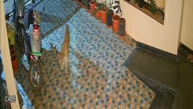 ಬೆಂಗಳೂರು: ಅಂಜನಾಪುರದಲ್ಲಿ ಮನೆ ಗೇಟ್ ಒಳಗೇ ಬಂತು ಚಿರತೆ!