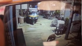 ಪ್ರವಾಸಿಗರೇ ಎಚ್ಚರ: ಹಂಪಿಯ ವಿರೂಪಾಕ್ಷ ದೇಗುಲದ ಬಳಿ ಚಿರತೆ ಪ್ರತ್ಯಕ್ಷ