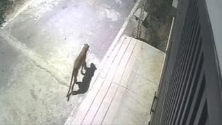 ಕಮಲಾಕರ ಭಟ್​ ಗುರೂಜಿ ಜೊತೆ ಮಹಿಳೆ ಅಕ್ರಮ ಸಂಬಂಧ ಪ್ರಕರಣದ ಬಗ್ಗೆ ಬಿಗ್​​​ ಅಪ್ಡೇಟ್​​ ನೀಡಿದ ಪೊಲೀಸರು