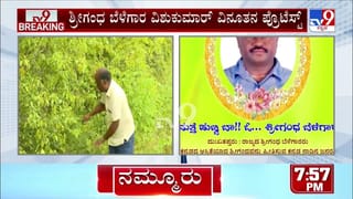 Video: ಗುಜರಾತ್​​ನಲ್ಲಿ ಆರಂಭವಾಗಿದೆ ಮೃತ ಸಾಕು ನಾಯಿಗಳಿಗೆಂದೇ ಚಿತಾಗಾರ