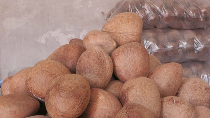 ಕೊಬ್ಬರಿಗೆ ಬಂಪರ್ ಬೆಲೆ: ರೈತರಿಗೆ ಸಿಗದ ಲಾಭ, ಅನ್ನದಾತ ನಿರಾಸೆ