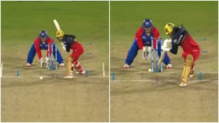 Video: ಬೈಕ್​​ನಲ್ಲಿದ್ದ ಪೊಲೀಸ್ ಅಧಿಕಾರಿ ಮೇಲೆ ದಾಳಿ ನಡೆಸಿ ರಸ್ತೆಯಿಂದ ಎಳೆದೊಯ್ದ ಹುಲಿ