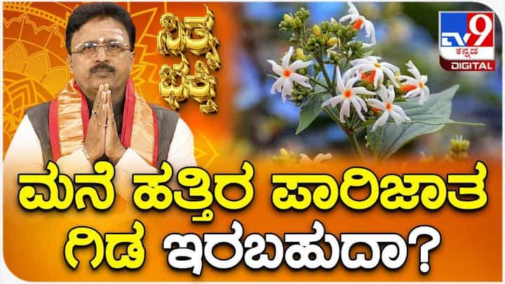 Daily Devotional: ಮನೆ ಹತ್ತಿರ ಪಾರಿಜಾತ ಗಿಡ ಇರಬಹುದಾ? Daily Devotional: ಮನೆ ಹತ್ತಿರ ಪಾರಿಜಾತ ಗಿಡ ಇರಬಹುದಾ?