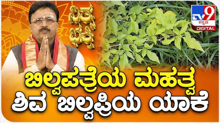 Daily Devotional: ಬಿಲ್ವಪತ್ರೆಯ ಮಹತ್ವ, ಶಿವ ಬಿಲ್ವಪ್ರಿಯ ಯಾಕೆ? Daily Devotional: ಬಿಲ್ವಪತ್ರೆಯ ಮಹತ್ವ, ಶಿವ ಬಿಲ್ವಪ್ರಿಯ ಯಾಕೆ?