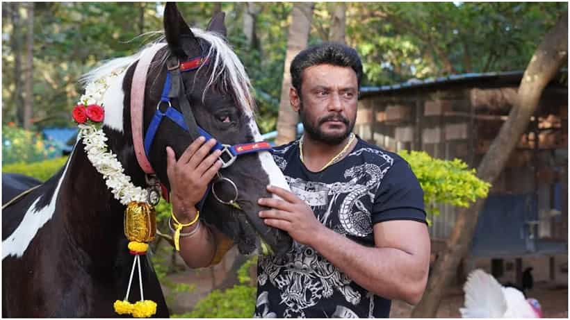 ದರ್ಶನ್ ಪ್ರಾಣಿ ಪ್ರಿಯನಾಗಲು ಕಾರಣವಾದ ಅಂಶವೇನು ಗೊತ್ತೇ?