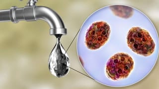 ಪ್ರತಿಭಟನೆಗೆ ಮುಂದಾಗಿದ್ದ ಸಾರಿಗೆ ನೌಕರರಿಗೆ ಗುಡ್​​ ನ್ಯೂಸ್:  ಹಿಂಬಾಕಿ, ವೇತನ ಪರಿಷ್ಕರಣೆಗೆ ಆದೇಶ