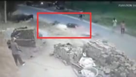 ರಸ್ತೆ ದಾಟುತ್ತಿದ್ದ ಹಸುವಿಗೆ ಗುದ್ದಿದ ಬೈಕ್