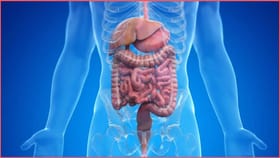 ಆಹಾರ ಸರಿಯಾಗಿ ಜೀರ್ಣವಾಗುತ್ತಿದೆಯೇ ಎಂಬುದನ್ನು ತಿಳಿದುಕೊಳ್ಳುವುದು ಹೇಗೆ?