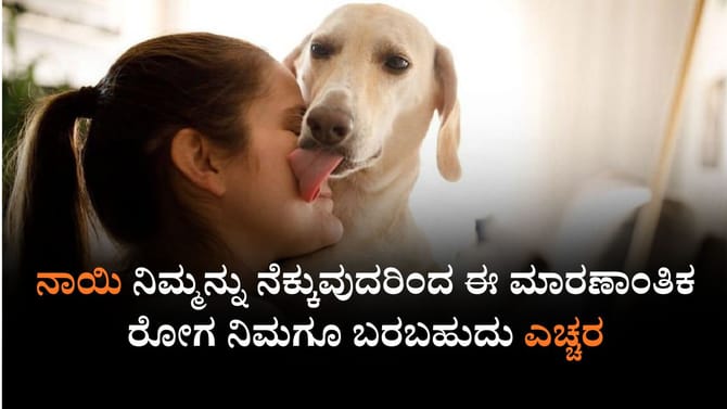 ನಾಯಿ ನಿಮ್ಮನ್ನು ನೆಕ್ಕುವುದರಿಂದ ಅಂಗಾಂಗಗಳನ್ನೇ ನೀವು ಕಳೆದುಕೊಳ್ಳಬಹುದು