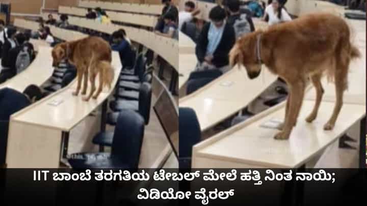 IIT ಬಾಂಬೆ ತರಗತಿಯ ಟೇಬಲ್ ಮೇಲೆ ಹತ್ತಿ ನಿಂತ ನಾಯಿ; ವಿಡಿಯೋ ವೈರಲ್ IIT ಬಾಂಬೆ ತರಗತಿಯ ಟೇಬಲ್ ಮೇಲೆ ಹತ್ತಿ ನಿಂತ ನಾಯಿ; ವಿಡಿಯೋ ವೈರಲ್