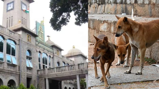 ಬೆಂಗಳೂರಿನಲ್ಲಿ ಕ್ರೂರ ಸ್ವಭಾವದ ನಾಯಿಗಳ ಸೆರೆಗೆ ಮುಂದಾದ ಜಿಬಿಎ