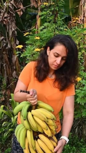 ಬಾಳೆಹಣ್ಣು ಮನೆಯಲ್ಲಿದ್ರೆ ಈ ರೀತಿ ಒಣಗಿಸಿ ತಿನ್ನಿ!