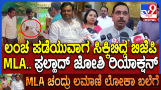VIDEO: ಬ್ಯಾಟರ್​ ಸಿಕ್ಸ್ ಬಾರಿಸದೇ ಸಿಕ್ಸರ್..!
