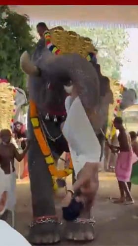 ವ್ಯಕ್ತಿಯನ್ನ ಆಟಿಕೆ ಸಾಮಾನಿನಂತೆ ಎತ್ತಿ ಬಿಸಾಡಿದ ಆನೆ