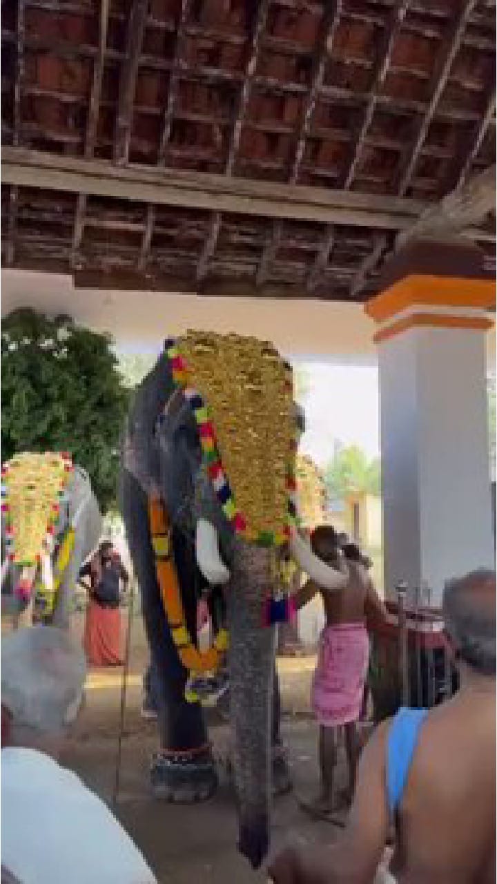 ತ್ರಿಶೂರ್​​ ದೇವಸ್ಥಾನದಲ್ಲಿ ಆನೆ ಮಾಡಿದ ಅವಾಂತರ ನೋಡಿ!