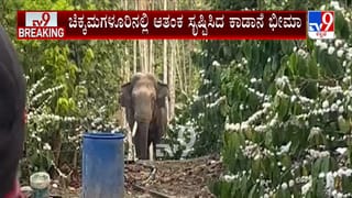 ಇರಾನ್​​​-ಇಸ್ರೇಲ್​​​ ಯುದ್ಧ: ಯುದ್ಧಭೂಮಿಯಿಂದ ಕನ್ನಡಿಗ ಹೇಳಿದ್ದಿಷ್ಟು