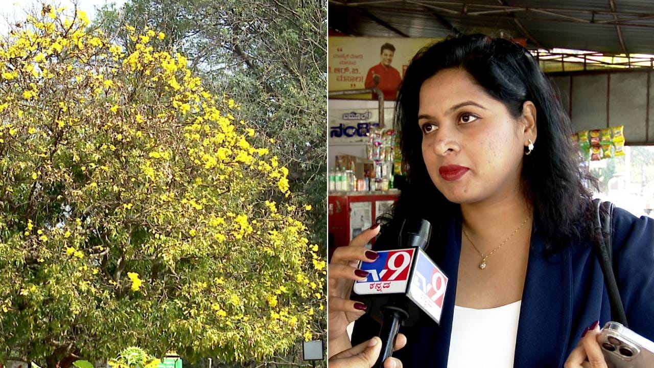 ಈ ರೀತಿ ಮತ್ತಷ್ಟು ಗಿಡ ಮರಗಳನ್ನ‌ನೆಟ್ಟರೇ ಬೆಂಗಳೂರು ಮತ್ತಷ್ಟು ಸುಂದರವಾಗಿ ಕಾಣುತ್ತೆ ಎಂದು ಸಿಲಿಕಾನ್ ಸಿಟಿ ಜನರು ತಮ್ಮ ಅಭಿಪ್ರಾಯ ವ್ಯಕ್ತಪಡಿಸಿದ್ದಾರೆ.
