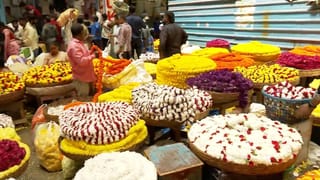 Daily Devotional: ಬಿಲ್ವಪತ್ರೆಯ ಮಹತ್ವ, ಶಿವ ಬಿಲ್ವಪ್ರಿಯ ಯಾಕೆ?