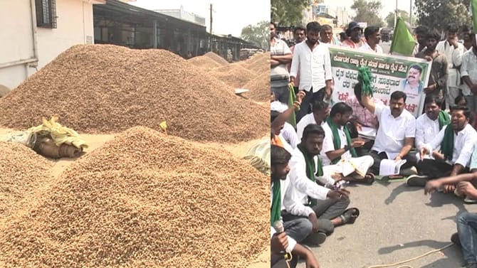 ಬಡವರ ಬಾದಾಮಿ ಬೆಳೆದ ರೈತರಿಗೀಗ ಸಂಕಷ್ಟ: ದಲ್ಲಾಳಿ-ಕಮಿಷನ್ ಏಜೆಂಟ್ ಮೋಸ