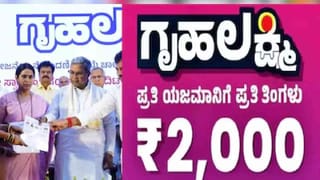 ವಿರೋಶ್ ಮದುವೆ: ರಾಯಲ್ ಉಡುಗೆಯ ಹಿಂದಿನ ಅಚ್ಚರಿಯ ವಿಷಯ ಕೇಳಿ..