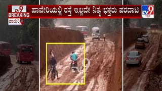 ಅನಂತ್​​ ಕುಮಾರ್​​ ಹೆಗಡೆ ಮರಳಿ ರಾಜಕೀಯಕ್ಕೆ? ಮಾಜಿ ಸಚಿವ ಶ್ರೀರಾಮುಲು ಹೇಳಿದ್ದಿಷ್ಟು