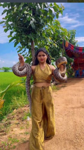 ಎರಡು ಕೈಗಳಲ್ಲಿ ಹೆಬ್ಬಾವು ಹಿಡಿದು ಬಂದ ಈ ಯುವತಿಯನ್ನೊಮ್ಮೆ ನೋಡಿ