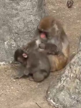 ಕೊನೆಗೂ ದ್ವೇಷ ಮಾಡಿದವರೇ ಪ್ರೀತಿ ತೋರಿಸುತ್ತಿದ್ದಾರೆ: ಪಂಚ್-ಕುನ್‌ ಫುಲ್​​ ಹ್ಯಾಪಿ