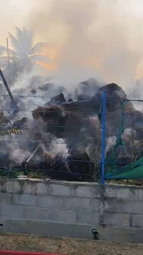 ಲಕ್ಷಾಂತರ ರೂ ಮೌಲ್ಯದ ಮೆಕ್ಕೆಜೋಳ ಬೆಂಕಿಗಾಹುತಿ