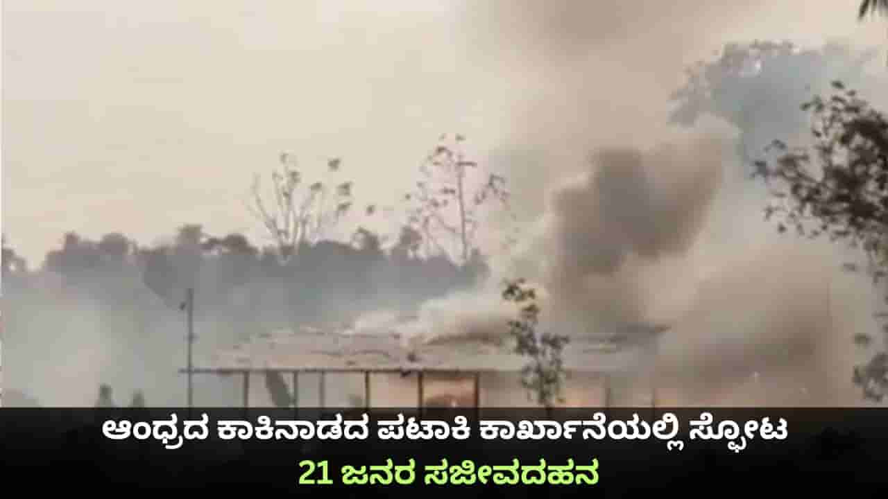 ಆಂಧ್ರದ ಕಾಕಿನಾಡ ಪಟಾಕಿ ಕಾರ್ಖಾನೆಯಲ್ಲಿ ಸ್ಫೋಟ; 21 ಜನರ ಸಜೀವದಹನ