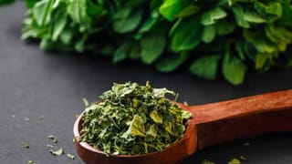 ನೊಣಗಳ ಕಾಟದಿಂದ ಮುಕ್ತಿ ಪಡೆಯಲು ಈ ಸಿಂಪಲ್‌ ಮನೆಮದ್ದುಗಳನ್ನು ಪ್ರಯತ್ನಿಸಿ