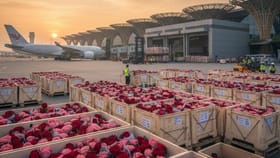 ಬೆಂಗಳೂರು ವಿಮಾನ ನಿಲ್ದಾಣದಿಂದ 60 ದಶಲಕ್ಷ ಗುಲಾಬಿ ರಫ್ತು