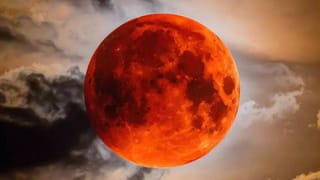 Right Hand Blessings: ಬಲಗೈಯಿಂದಲೇ ಏಕೆ ಆಶೀರ್ವಾದ ಮಾಡಬೇಕು? ಜ್ಯೋತಿಶಾಸ್ತ್ರಜ್ಞರು ಹೇಳುವುದೇನು?