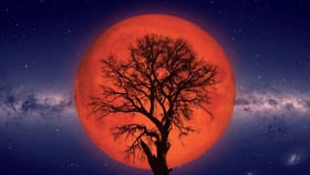 ಮಾ.03 ಚಂದ್ರಗ್ರಹಣ; ಮಕರ ರಾಶಿಯ ಮೇಲೆ ಪ್ರಭಾವ ಹೇಗಿರಲಿದೆ?