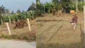 ಅರಣ್ಯ ಇಲಾಖೆ ಸಿಬ್ಬಂದಿಯನ್ನೇ ಅಟ್ಟಾಡಿಸಿದ ಆನೆ, ಭಯಾನಕ ವಿಡಿಯೋ ನೋಡಿ