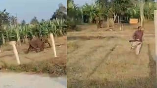 ‘ಅಂಬಲಿ ರಾಶಿಗೆ ಮುತ್ತಿನ ಗಿಣಿ ಸಮೃದ್ಧಿ ಆಯ್ತಲೇ ಪರಾಕ್’: ಮೈಲಾರಲಿಂಗನ ಈ ಕಾರ್ಣಿಕದ ಅರ್ಥವೇನು?