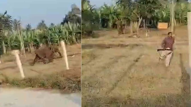 ಅರಣ್ಯ ಇಲಾಖೆ ಸಿಬ್ಬಂದಿಯನ್ನೇ ಅಟ್ಟಾಡಿಸಿದ ಆನೆ, ಭಯಾನಕ ವಿಡಿಯೋ ನೋಡಿ