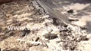 Bengaluru: ಬಿಡಿಎ ನೌಕರನಿಂದಲೇ ಅಧಿಕಾರಿಗೆ ಧಮ್ಕಿ; ವಿಡಿಯೋ ವೈರಲ್​​