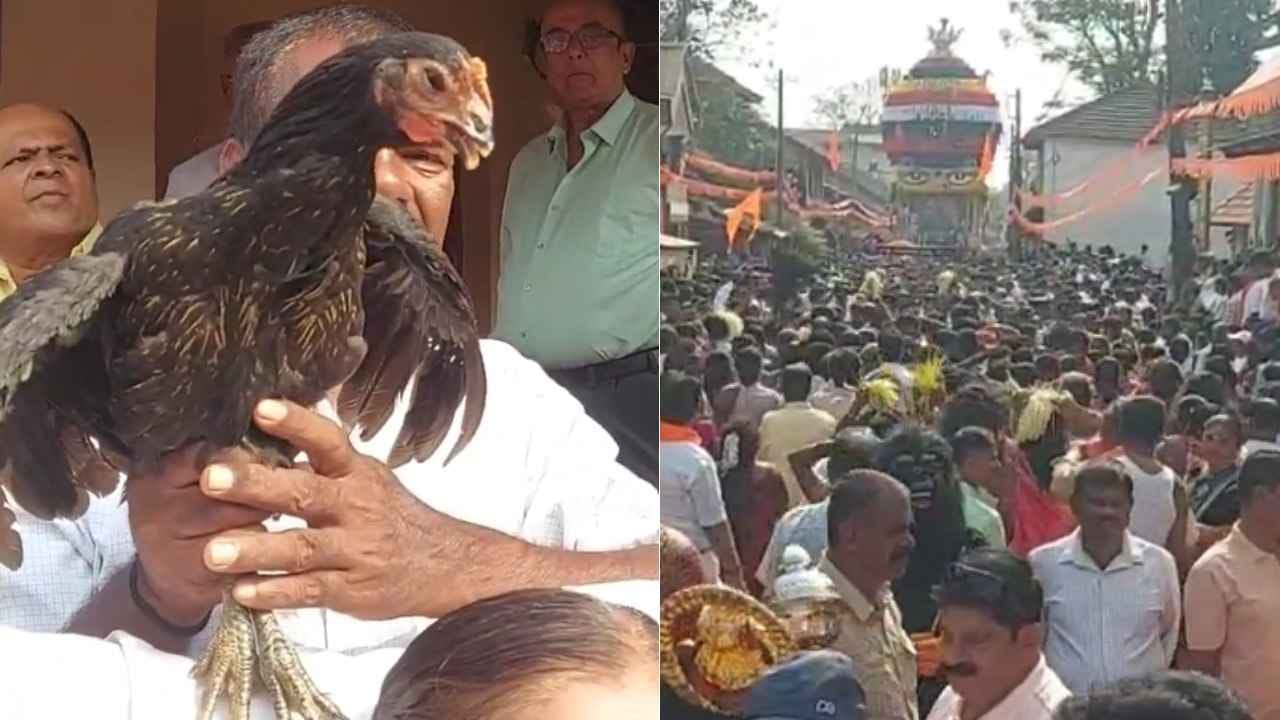 ಮಾರಿಕಾಂಬಾ ೬