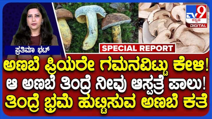 ನೀಲಿ ಬಣ್ಣಕ್ಕೆ ತಿರುಗುವ ಈ ಅಣಬೆ ತಿನ್ನುವ ಮುನ್ನ ಜೋಕೆ: ಯಾಮಾರಿದ್ರೆ ಭ್ರಮೆ ಹುಟ್ಟಿಸುತ್ತೆ ಎಚ್ಚರ! ನೀಲಿ ಬಣ್ಣಕ್ಕೆ ತಿರುಗುವ ಈ ಅಣಬೆ ತಿನ್ನುವ ಮುನ್ನ ಜೋಕೆ: ಯಾಮಾರಿದ್ರೆ ಭ್ರಮೆ ಹುಟ್ಟಿಸುತ್ತೆ ಎಚ್ಚರ!