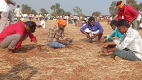 ಮೈಲಾರ ಜಾತ್ರೆಯಲ್ಲಿ ಬ್ಯಾಚುಲರ್ಸ್ ಬೇಡಿಕೊಂಡಿದ್ದೇನು ಗೊತ್ತಾ