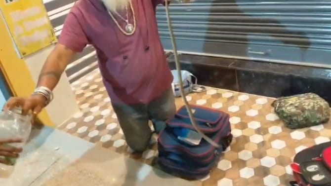 ಮೈಸೂರಿನಲ್ಲಿ ಪುಟ್ಟ ಬಾಲಕಿಯ ಬ್ಯಾಗಿನೊಳಗೆ ನಾಗರ ಹಾವು ಪ್ರತ್ಯಕ್ಷ!