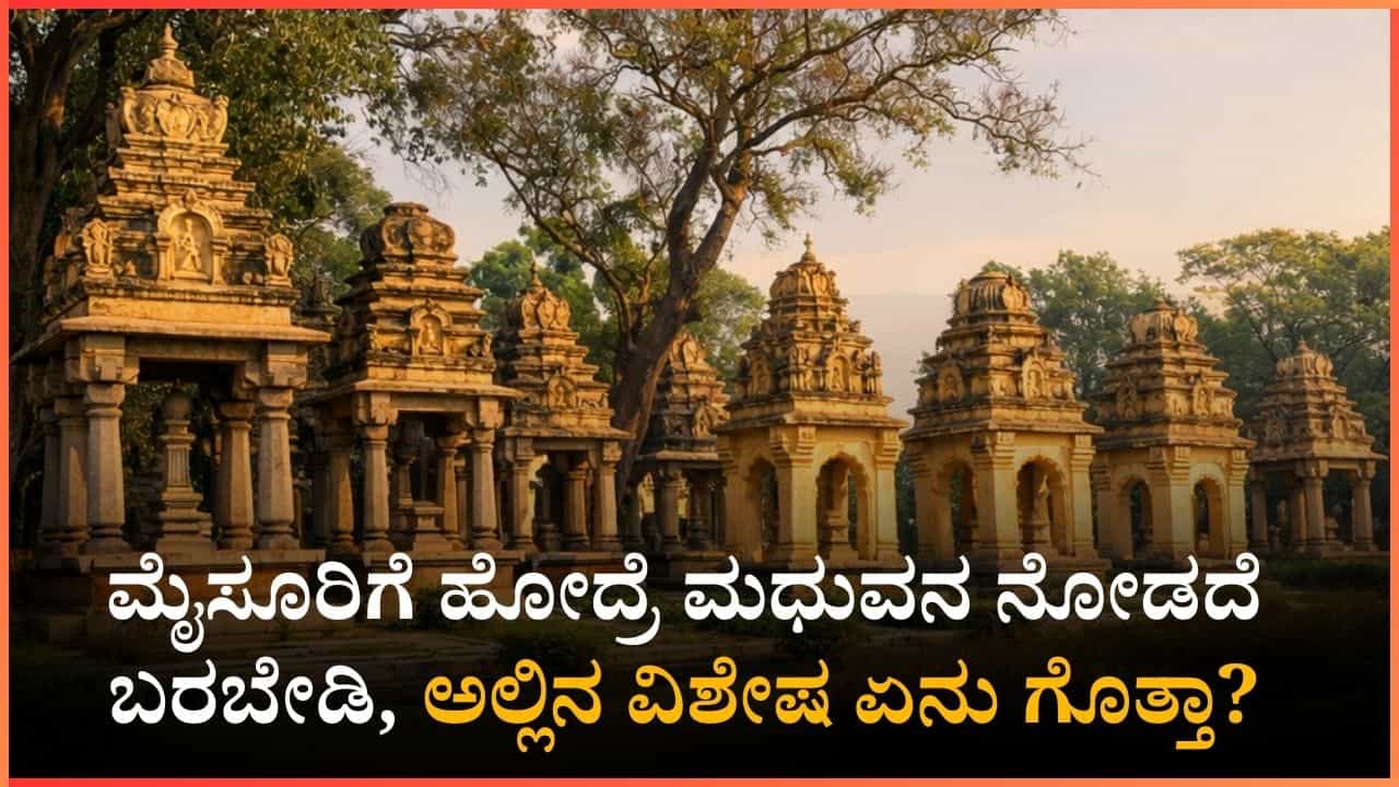 ಪ್ರವಾಸಿಗರೇ ಮೈಸೂರಿಗೆ ಹೋದ್ರೆ 'ಮಧುವನ' ಕ್ಕೆ ಭೇಟಿ ನೀಡಲೇಬೇಕು: ಇಲ್ಲಿ ಏನಿದೆ ಗೊತ್ತಾ? ಪ್ರವಾಸಿಗರೇ ಮೈಸೂರಿಗೆ ಹೋದ್ರೆ 'ಮಧುವನ' ಕ್ಕೆ ಭೇಟಿ ನೀಡಲೇಬೇಕು: ಇಲ್ಲಿ ಏನಿದೆ ಗೊತ್ತಾ?