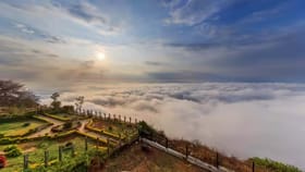 ಪ್ರೇಮಿಗಳ ದಿನಾಚರಣೆದಂದು ನಂದಿಬೆಟ್ಟಕ್ಕೆ ಹೋಗುವ ಮುನ್ನ ಇದನ್ನು ಓದಲೇಬೇಕು