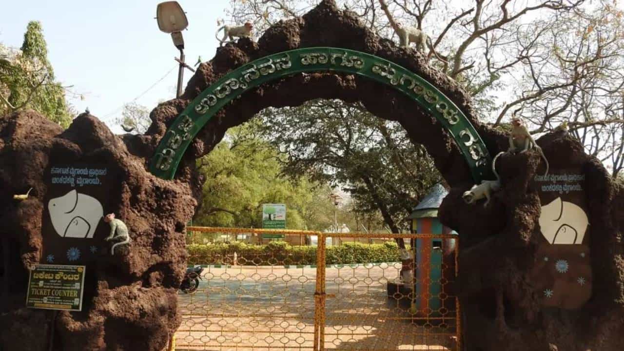 200ಕ್ಕೂ ಹೆಚ್ಚು ಪ್ರಾಣಿಗಳಿಗೆ ಕ್ವಾರಂಟೈನ್: ಬಿಂಕದಕಟ್ಟಿ ಮೃಗಾಲಯದಲ್ಲಿ ಆಗಿದ್ದೇನು? 200ಕ್ಕೂ ಹೆಚ್ಚು ಪ್ರಾಣಿಗಳಿಗೆ ಕ್ವಾರಂಟೈನ್: ಬಿಂಕದಕಟ್ಟಿ ಮೃಗಾಲಯದಲ್ಲಿ ಆಗಿದ್ದೇನು?