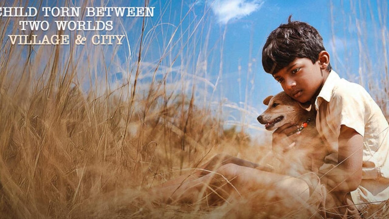 5 ವರ್ಷಗಳ ಹಿಂದೆ ಸಾಕಷ್ಟು ಸದ್ದು ಮಾಡಿದ್ದ ಗಣೇಶ್ ಹೆಗಡೆ ನಿರ್ದೇಶನದ ‘ನೀಲಿ ಹಕ್ಕಿ’ ಸಿನಿಮಾ ಇದೀಗ ಓಟಿಟಿಗೆ ಬಂದಿದೆ. ಸಿದ್ಧ ಎಂಬ ಬಾಲಕನ ಕತೆ ಹೊಂದಿರುವ ಈ ಸಿನಿಮಾವನ್ನು ಸನ್ ನೆಕ್ಸ್ಟ್​​ನಲ್ಲಿ ಈ ವಾರದಿಂದ ವೀಕ್ಷಿಸಬಹುದಾಗಿದೆ.